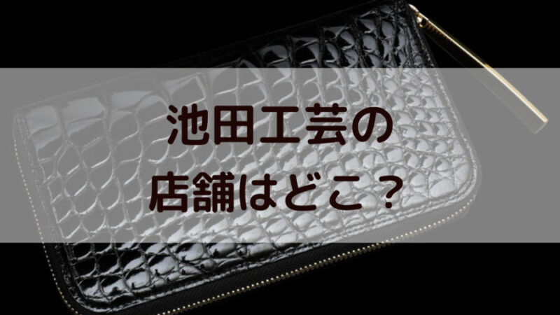 入手困難✨ 池田工芸 長財布 ラウンドファスナー パイソン 