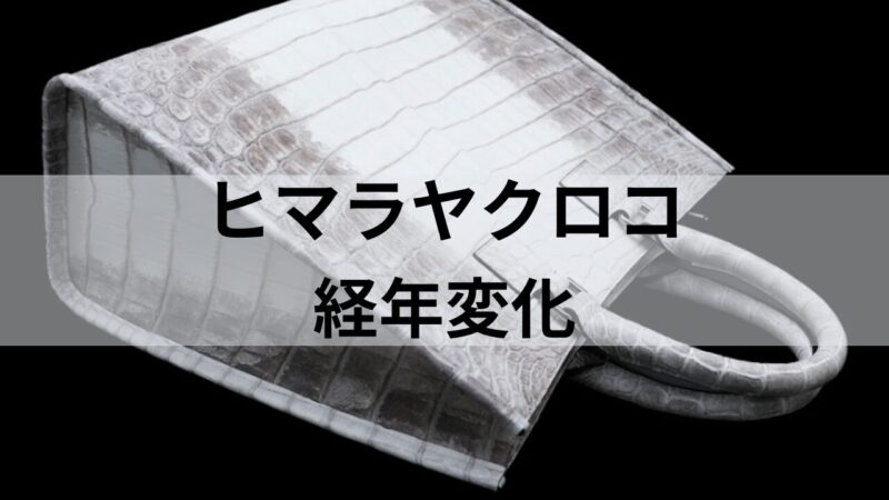 池田工芸のヒマラヤクロコのハンドバッグ