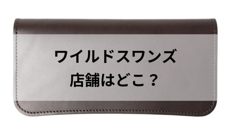 ワイルドスワンズの直営店とその特長を徹底解説